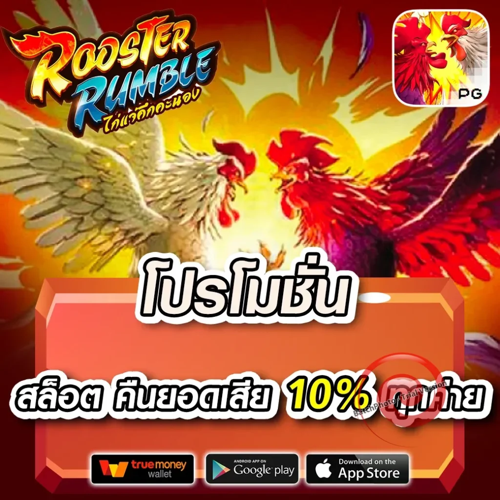 คาสิโน allin-24